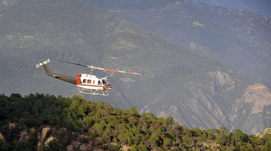 El helicóptero de ataque AH-64 se precipitó sobre un campo cerca de la localidad de Salado. EFE/ARCHIVO