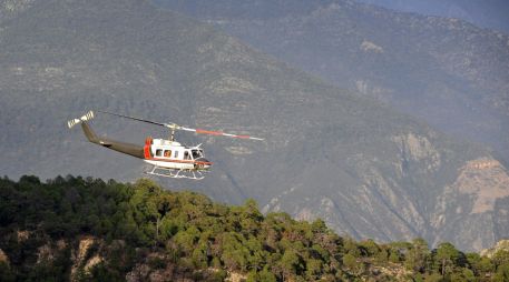 El helicóptero de ataque AH-64 se precipitó sobre un campo cerca de la localidad de Salado. EFE/ARCHIVO