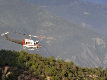 El helicóptero de ataque AH-64 se precipitó sobre un campo cerca de la localidad de Salado. EFE/ARCHIVO