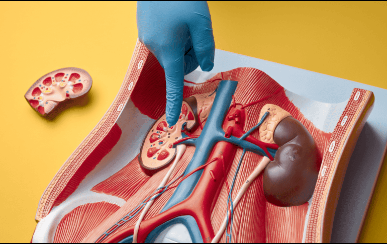 Mientras esperamos estos resultados, este brillante descubrimiento originado desde Singapur ilumina el camino de la investigación médica global. CANVA