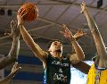 En esta temporada 2026, la organización tapatía de basquetbol ha comenzado con buen pie el camino al título de la LNBP. ESPECIAL/Astros de Jalisco