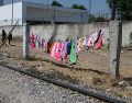La población de Pueblo Quieto está asentada sobre las vías del tren, pero se trata de un tramo federal. EL INFORMADOR/ARCHIVO