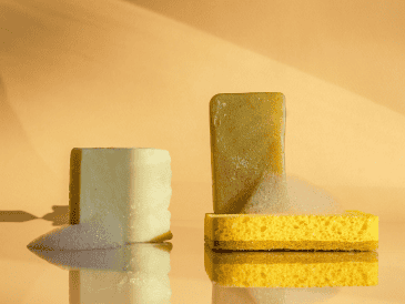 Al permanecer en un ambiente húmedo, estos residuos pueden favorecer la proliferación de bacterias. CANVA