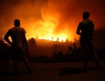 Los incendios, cuya causa aún no se ha determinado y que podrían tardar días en extinguirse, se produjeron en el día más caluroso del año en Londres. AFP/ARCHIVO