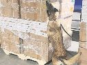 La Marina señaló que el embarque con tabaco ilegal venía en 138 cajas. ESPECIAL