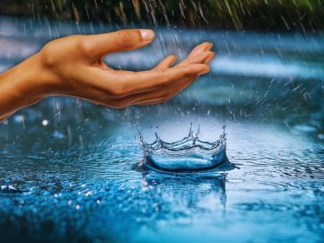 A partir de las 17:00 horas, la probabilidad de lluvia aumentará de manera drástica, superando el 60 por ciento de certeza en diversas zonas. ESPECIAL / CANVA