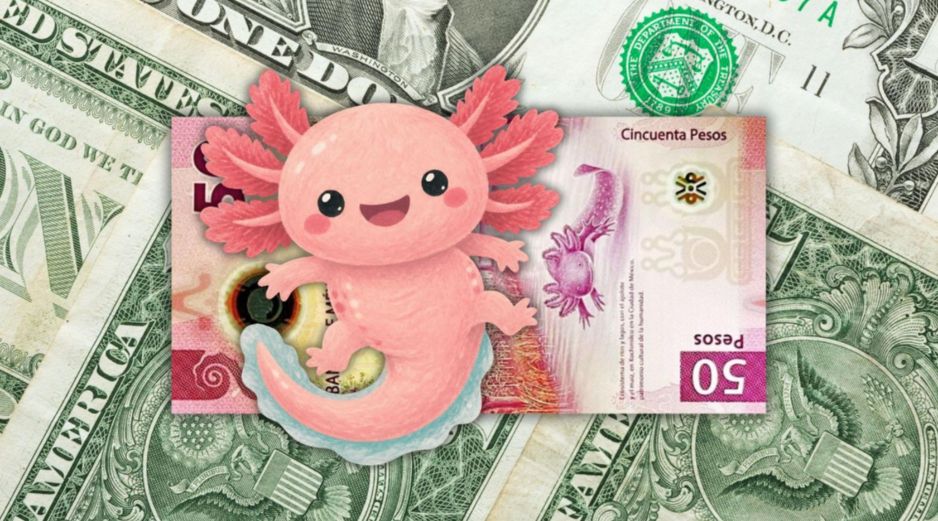 El peso mexicano fue una de las divisas más beneficiadas por esta debilidad generalizada del dólar. ESPECIAL / CANVA
