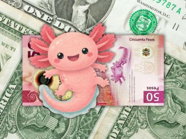 El peso mexicano fue una de las divisas más beneficiadas por esta debilidad generalizada del dólar. ESPECIAL / CANVA