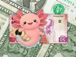 El peso mexicano fue una de las divisas más beneficiadas por esta debilidad generalizada del dólar. ESPECIAL / CANVA