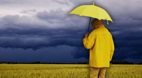 La capital tapatía no es el lugar que registra la mayor cantidad de precipitación anual en el estado. ESPECIAL / CANVA