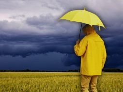 La capital tapatía no es el lugar que registra la mayor cantidad de precipitación anual en el estado. ESPECIAL / CANVA