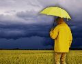 La capital tapatía no es el lugar que registra la mayor cantidad de precipitación anual en el estado. ESPECIAL / CANVA