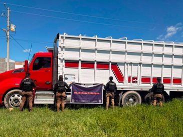 Los uniformados verificaron el número de serie y confirmaron que se trataba de una camioneta Chevrolet Silverado que contaba con reporte de robo en Guanajuato. ESPECIAL