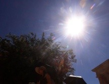 El calor afecta a varias regiones en el mundo en estos momentos. EFE / ARCHIVO