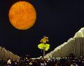 La intérprete española dominó el escenario de la Arena VFG y ofreció una velada inolvidable a los 14 mil fanáticos que la acompañaron. EL INFORMADOR/ H. Navarro