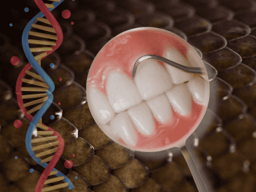 Durante la sexta semana de gestación de un embrión humano, la boca experimenta un proceso fascinante que replica esta herencia marina a través de la formación de la lámina dental. CANVA