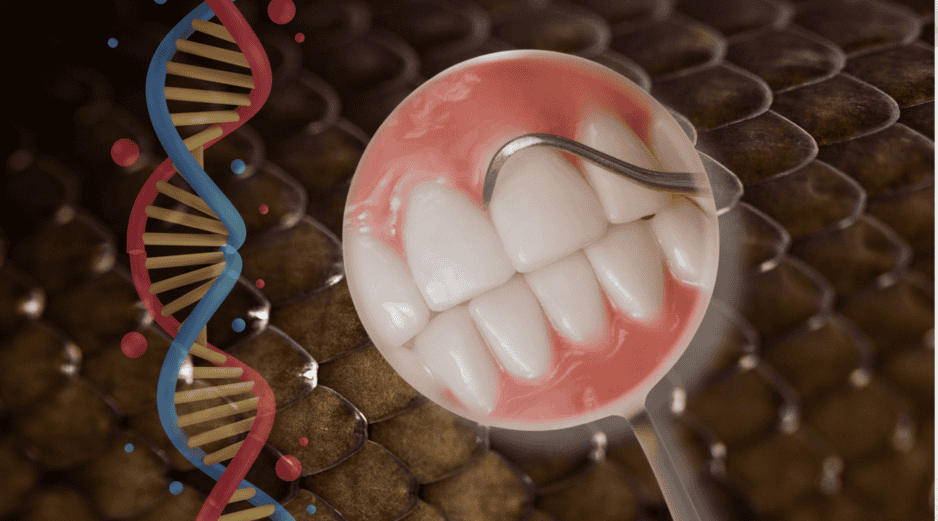 Durante la sexta semana de gestación de un embrión humano, la boca experimenta un proceso fascinante que replica esta herencia marina a través de la formación de la lámina dental. CANVA