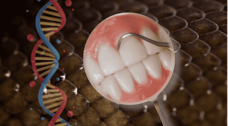 Durante la sexta semana de gestación de un embrión humano, la boca experimenta un proceso fascinante que replica esta herencia marina a través de la formación de la lámina dental. CANVA