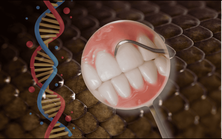 Durante la sexta semana de gestación de un embrión humano, la boca experimenta un proceso fascinante que replica esta herencia marina a través de la formación de la lámina dental. CANVA