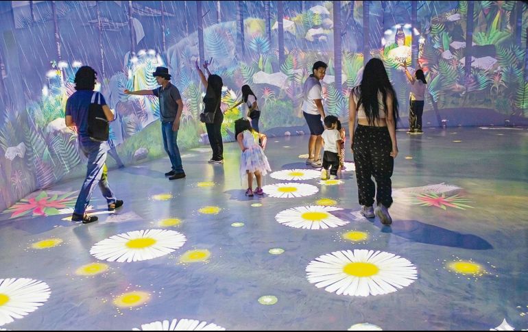 Simula un bosque mesófilo de montaña donde el piso interactivo reacciona al caminar de las personas con elementos visuales como flores. EL INFORMADOR/ N. Andrade