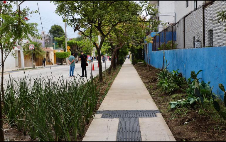 Las acciones fueron realizadas en zonas prioritarias identificadas en el Plan Integral de Movilidad Urbana Sustentable. ESPECIAL / Imeplan