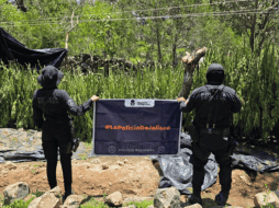La Secretaría de Seguridad estatal señaló que continuarán los recorridos en la región con corporaciones municipales y federales. ESPECIAL/ Secretaría de Seguridad Jalisco