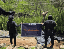 La Secretaría de Seguridad estatal señaló que continuarán los recorridos en la región con corporaciones municipales y federales. ESPECIAL/ Secretaría de Seguridad Jalisco