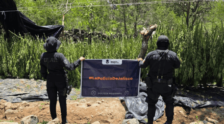 La Secretaría de Seguridad estatal señaló que continuarán los recorridos en la región con corporaciones municipales y federales. ESPECIAL/ Secretaría de Seguridad Jalisco
