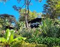 Si buscas prolongar la magia de tu escapada, rentar una de las clásicas cabañas de madera o animarte a acampar directamente en el bosque son buenas opciones. EL INFORMADOR/ ARCHIVO