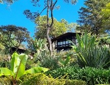 Si buscas prolongar la magia de tu escapada, rentar una de las clásicas cabañas de madera o animarte a acampar directamente en el bosque son buenas opciones. EL INFORMADOR/ ARCHIVO