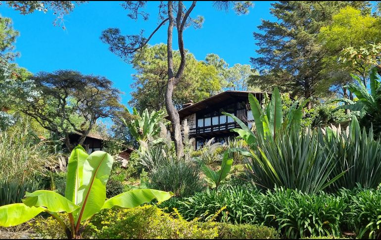 Si buscas prolongar la magia de tu escapada, rentar una de las clásicas cabañas de madera o animarte a acampar directamente en el bosque son buenas opciones. EL INFORMADOR/ ARCHIVO