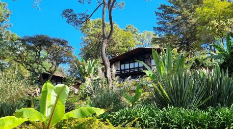 Si buscas prolongar la magia de tu escapada, rentar una de las clásicas cabañas de madera o animarte a acampar directamente en el bosque son buenas opciones. EL INFORMADOR/ ARCHIVO