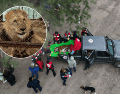 Los treinta ejemplares partieron el mismo lunes de viaje a EU y Sudáfrica. FOUR PAWS