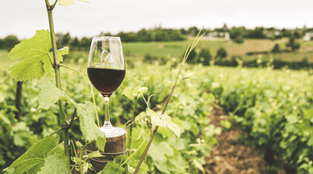 Durante todo agosto, Jalos se transforma en el epicentro del enoturismo con el Festival del Vino y el Queso, una experiencia que combina catas, vendimias y cultura. CANVA