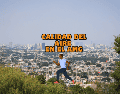 La mañana de este mates 14 de agosto en el AMG SE REGISTRA EL INFORMADOR / ARCHIVO