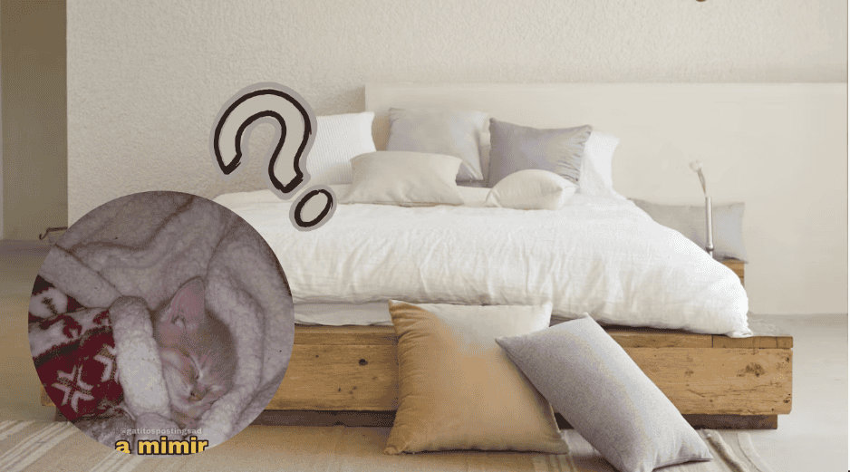 Dormir con o sin ropa tiene beneficios sorprendentes. Conoce qué dice la ciencia sobre la termorregulación y elige la mejor opción para un descanso ideal. ESPECIAL/ Unsplash