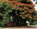 Caminar tranquilamente en este pueblo de Jalisco es una de las experiencias más relajantes y enriquecedoras que ofrece la región occidente del país. UNSPLASH / O. WAHL