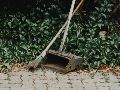 Descubre por qué el vinagre y el cloro son los peores enemigos de tu patio. ESPECIAL/PEXELS