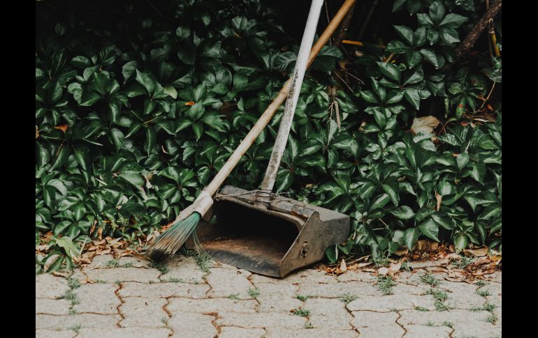 Descubre por qué el vinagre y el cloro son los peores enemigos de tu patio. ESPECIAL/PEXELS