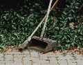 Descubre por qué el vinagre y el cloro son los peores enemigos de tu patio. ESPECIAL/PEXELS