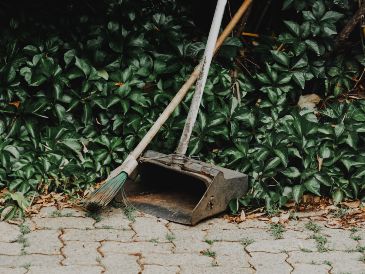 Descubre por qué el vinagre y el cloro son los peores enemigos de tu patio. ESPECIAL/PEXELS