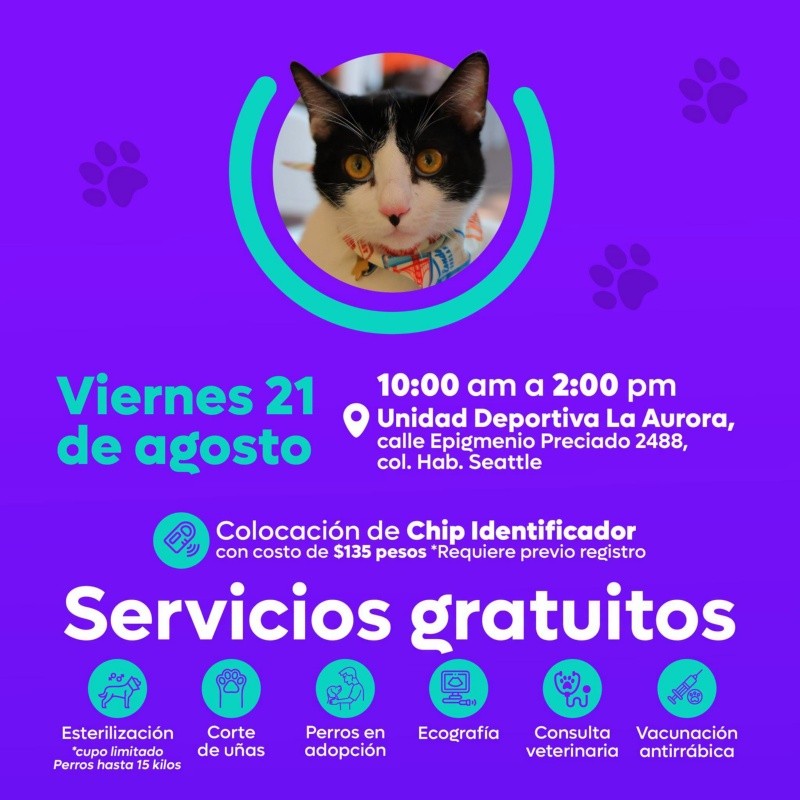 CORTESÍA/ Protección Animal Zapopan. 
