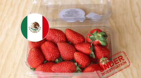 La controversia surge después de que productores estadounidenses, principalmente de Florida, solicitaran a las autoridades de su país revisar las importaciones de fresas procedentes de México durante la temporada invernal. ESPECIAL