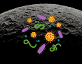La posibilidad de que nuestros microorganismos colonicen accidentalmente la Luna ha generado un intenso debate en la comunidad científica. CANVA