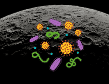 La posibilidad de que nuestros microorganismos colonicen accidentalmente la Luna ha generado un intenso debate en la comunidad científica. CANVA