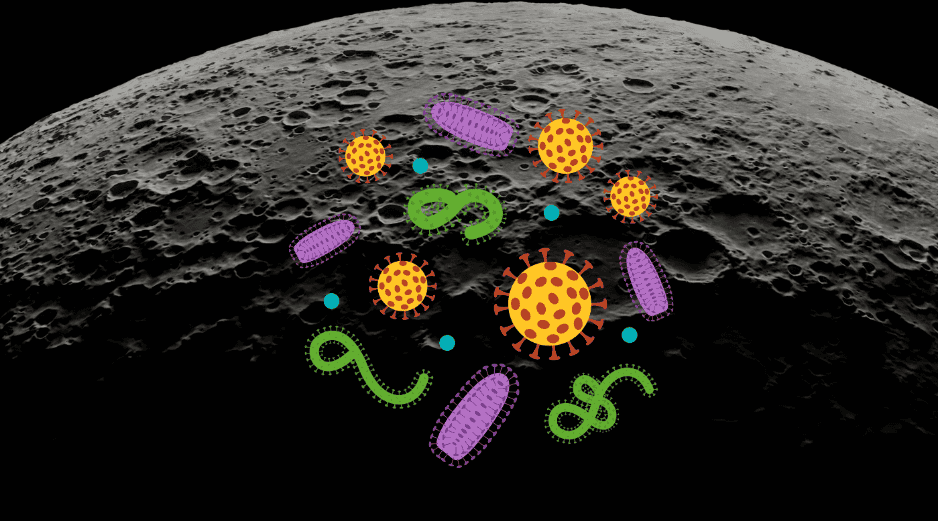 La posibilidad de que nuestros microorganismos colonicen accidentalmente la Luna ha generado un intenso debate en la comunidad científica. CANVA