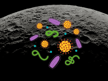 La posibilidad de que nuestros microorganismos colonicen accidentalmente la Luna ha generado un intenso debate en la comunidad científica. CANVA