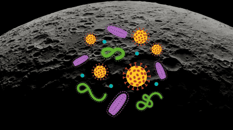 La posibilidad de que nuestros microorganismos colonicen accidentalmente la Luna ha generado un intenso debate en la comunidad científica. CANVA