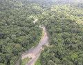 La selva del Darién es la línea fronteriza entre Panamá y Colombia. EFE