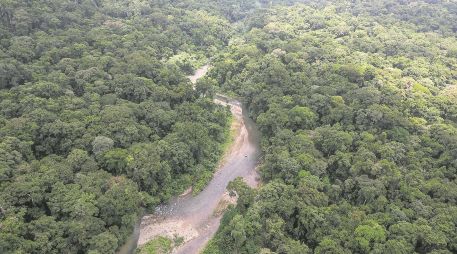 La selva del Darién es la línea fronteriza entre Panamá y Colombia. EFE